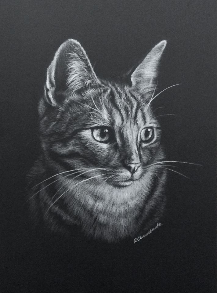 White pencil, The cat's dream 3, 21x30cm, 180PLN