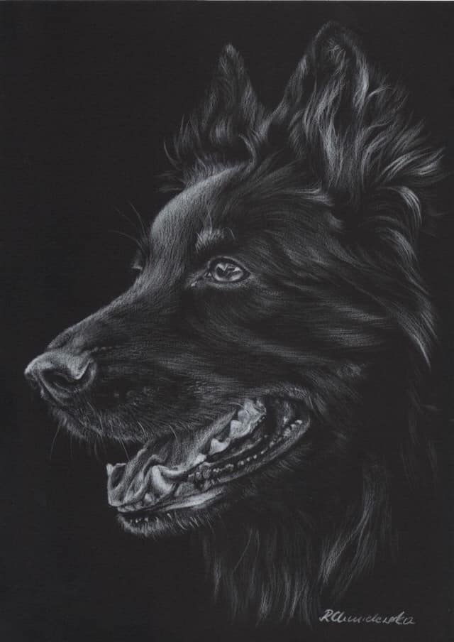 White pencil, Chodsky Pes' portrait, 21x30cm, 180PLN