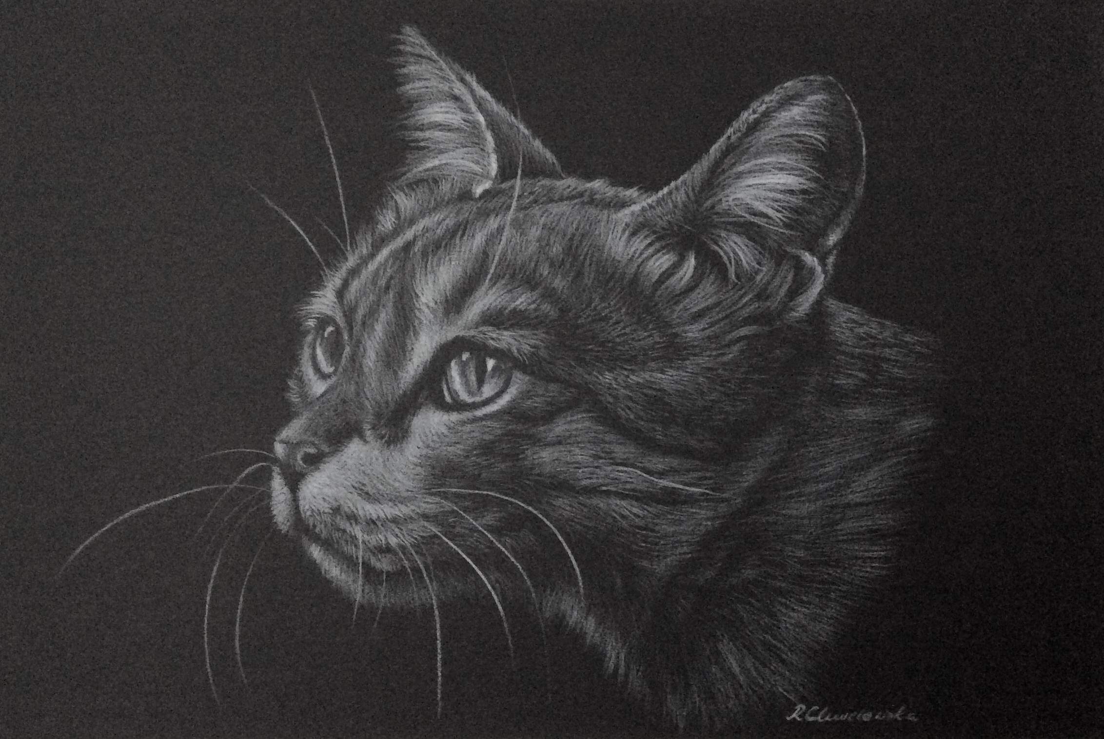 White pencil, The cat's dream 2, 30x21cm, 180PLN