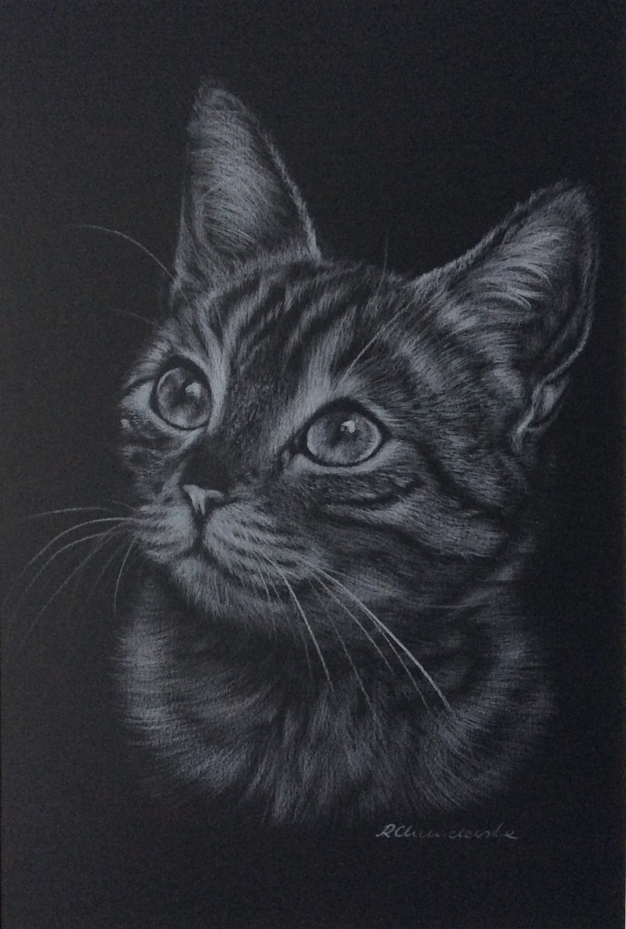 White pencil, The cat's dream 1, 21x30cm, 180PLN