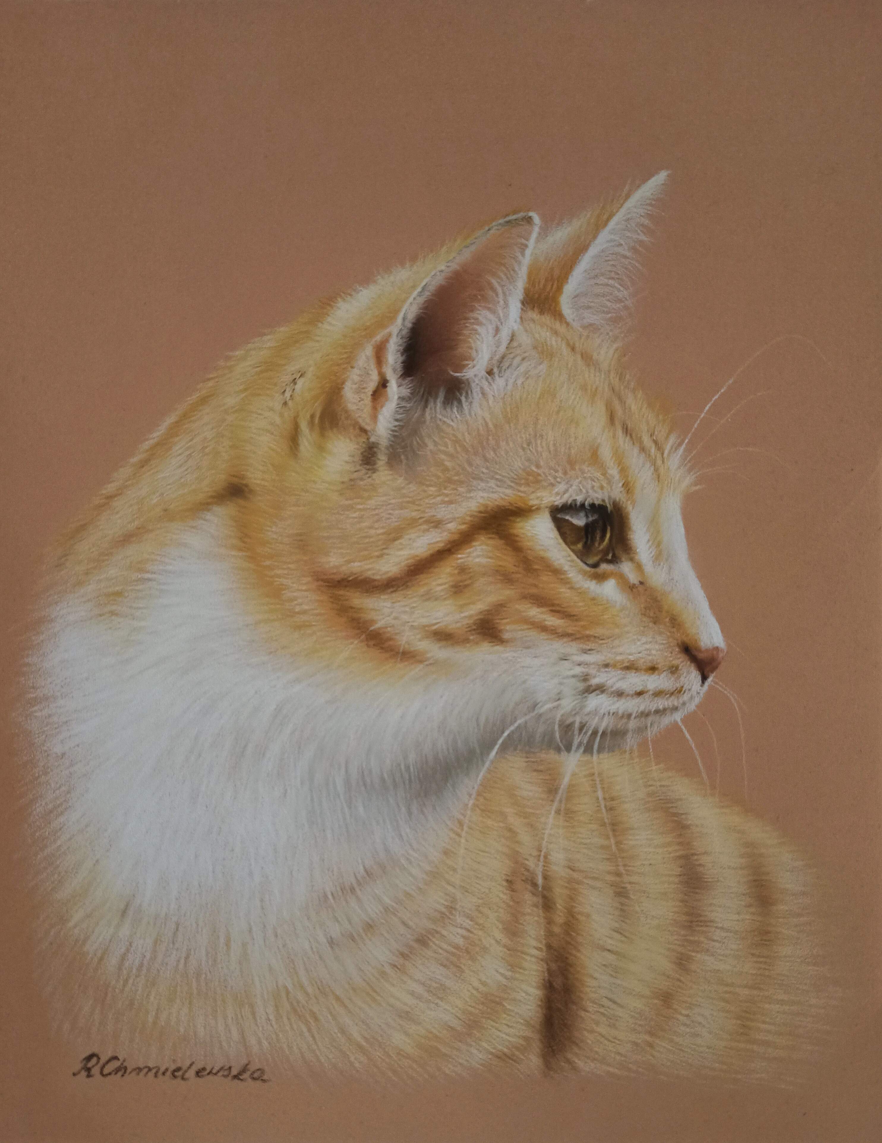 Ginger, pastel portait, 24x30cm, 300PLN